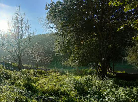 Passeurs de Nature – Balades nature guidées