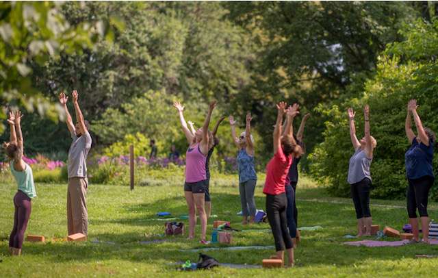 Clearly Living Yoga