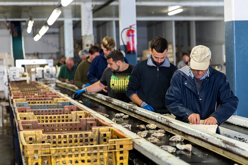 La Ferme Marine de Cancale