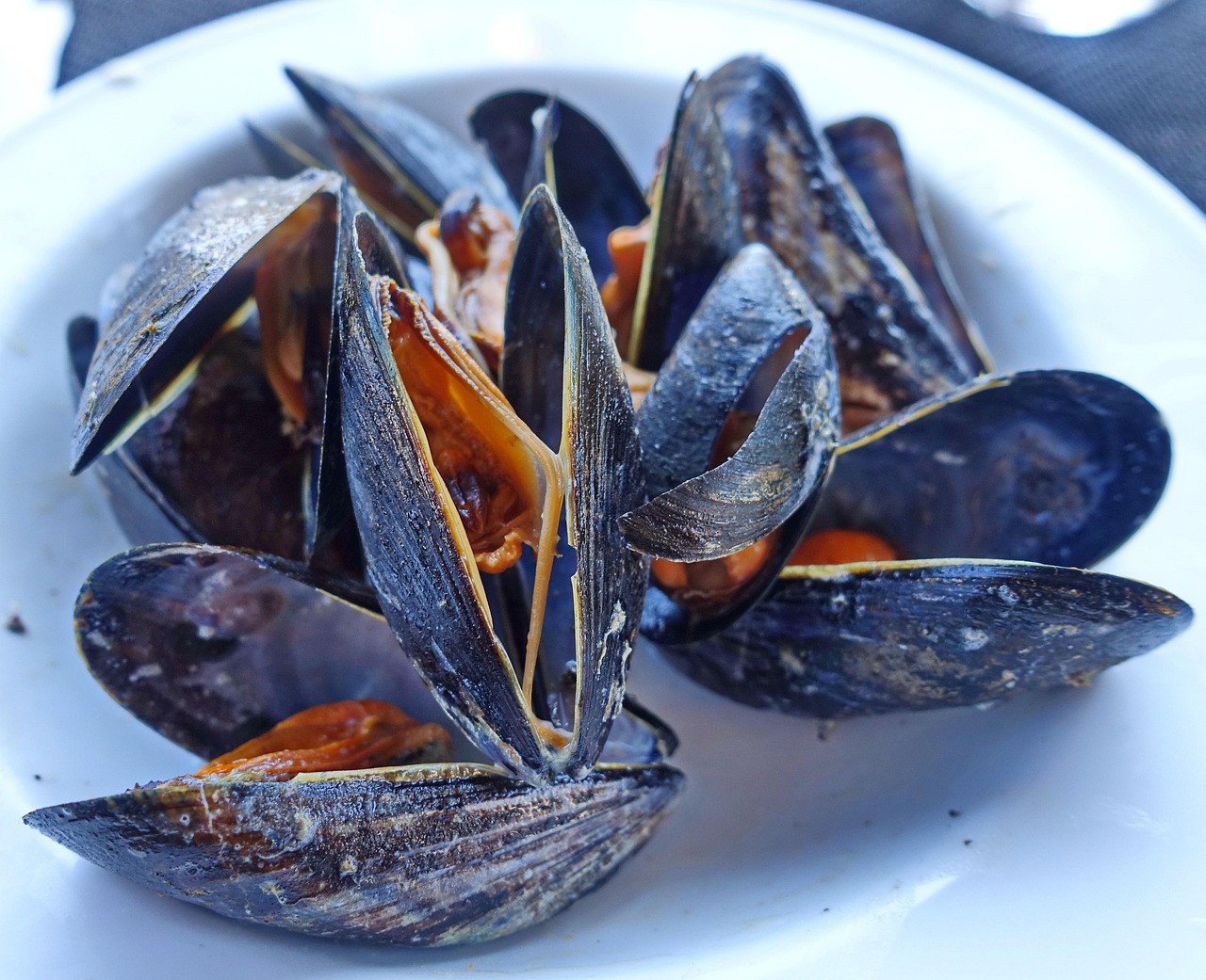Fête de la moule