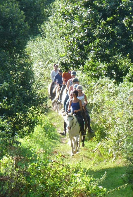 Hipporêves balades équestres