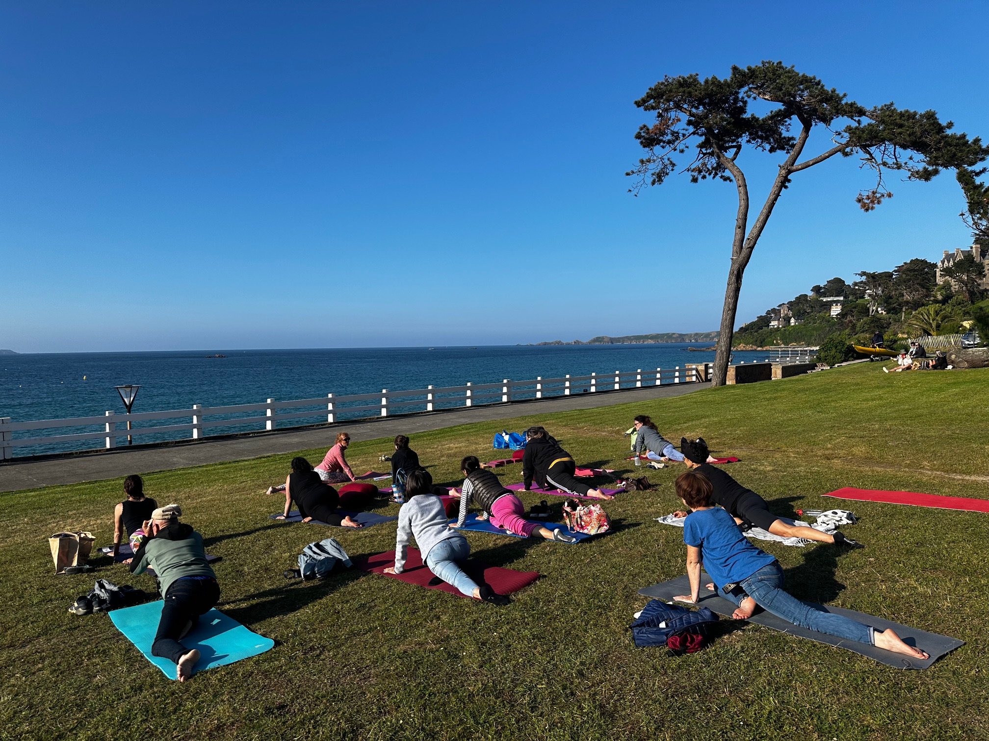 Roz Yoga – Cours de Yoga