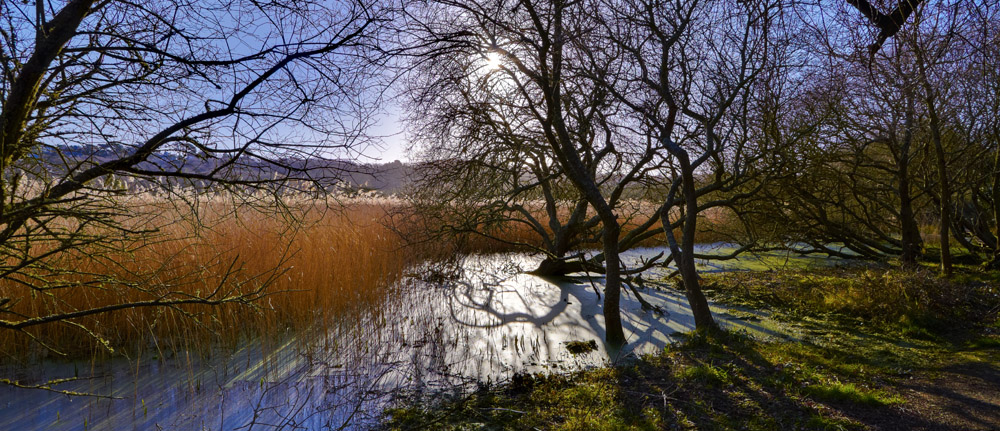 Marais du Quellen