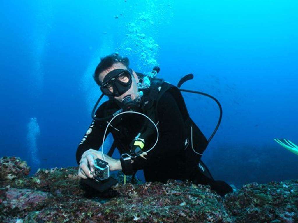 PLONGEE -Carnac Plongée Dive Center