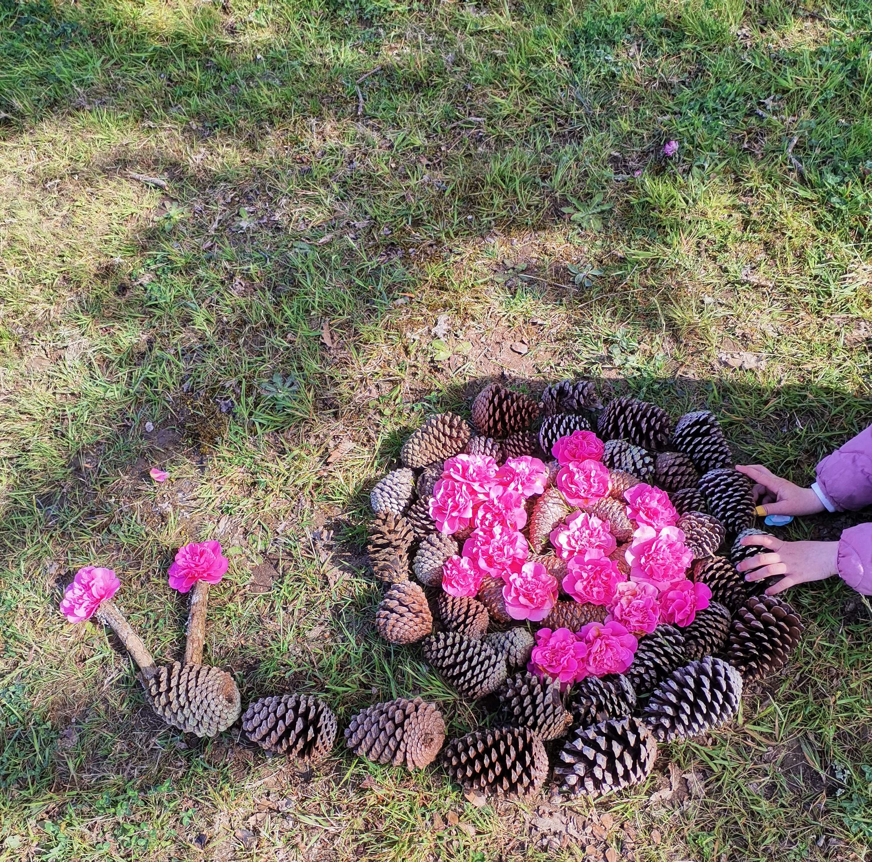 Ateliers Land Art