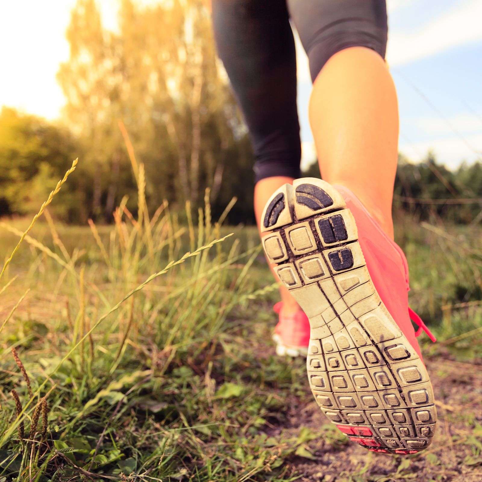Expérience Marche Sportive
