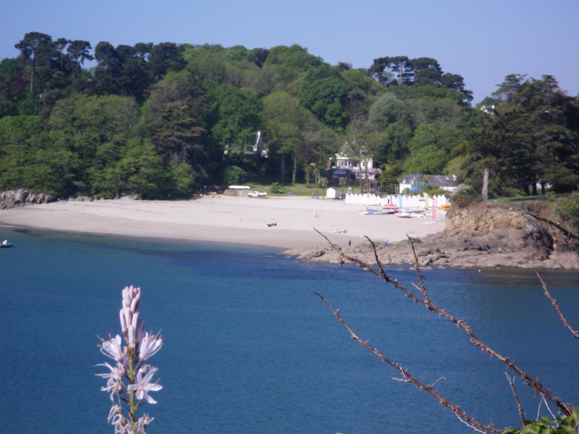 Anse de Rospico