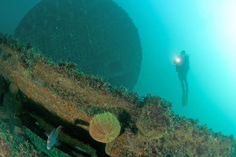 Les Plongeurs du Cap