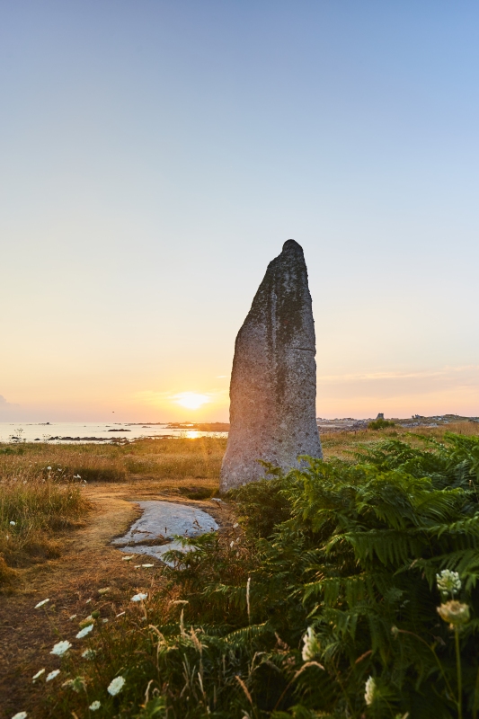 Menhir de Cam Louis