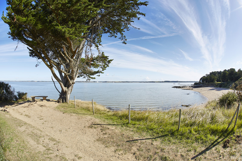 Pointe du Halguen