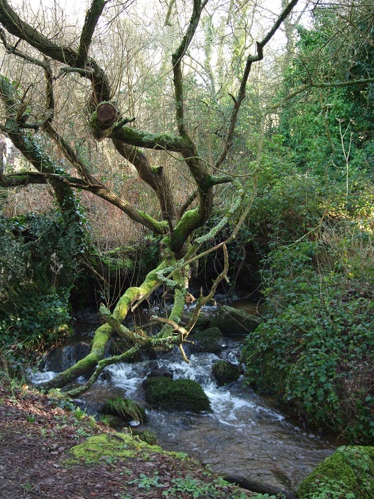 Vallée de Goas Lagorn