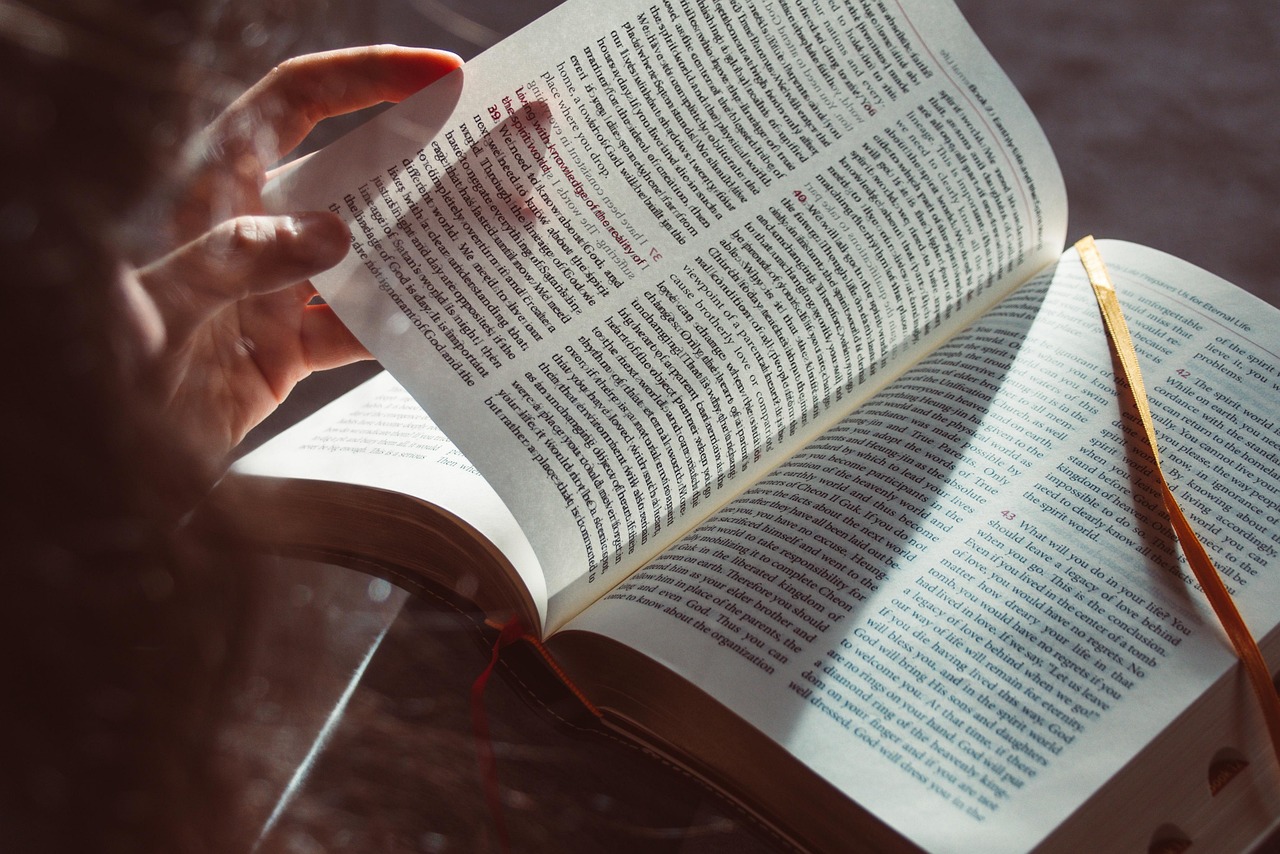 Un livre sur Pénestin pour votre été