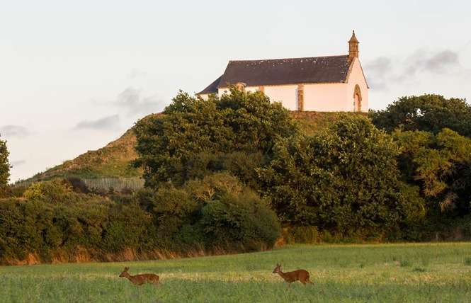 Tumulus Saint Michel à Carnac