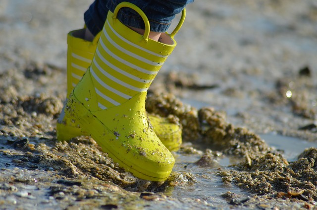 Sorties pêche à pied