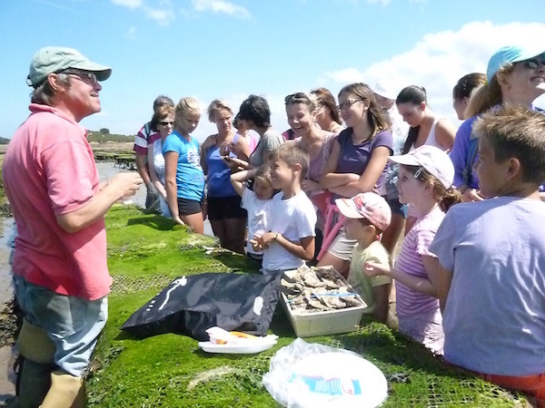 Visites ostréicoles à Carantec